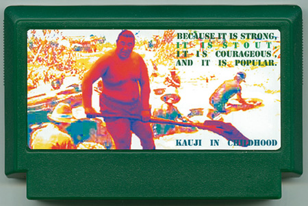 famicase3 famicase3